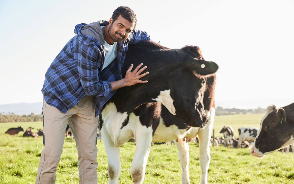 19_07_22_DairyAustralia_SHOT_03_1665.jpg