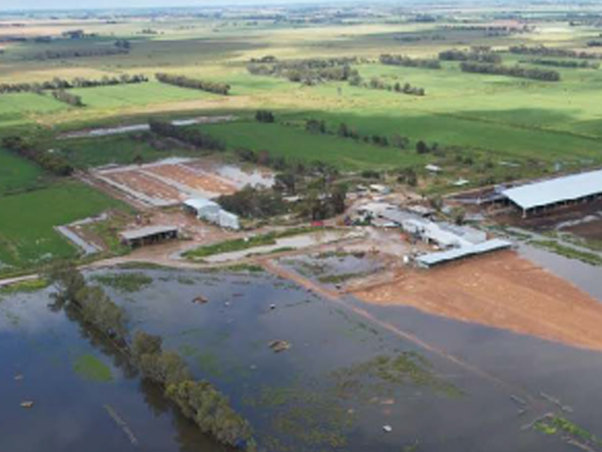 Flood-News Card.jpg