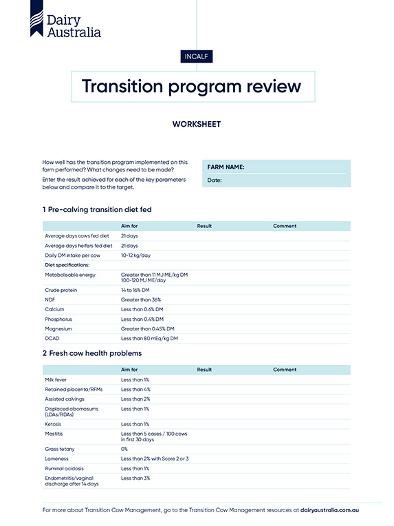 Transition Progarm review worksheet thumbnail