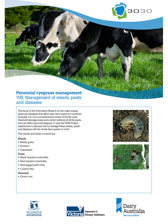 perennial ryegrass management VIII management of weed pests diseases thumbnail