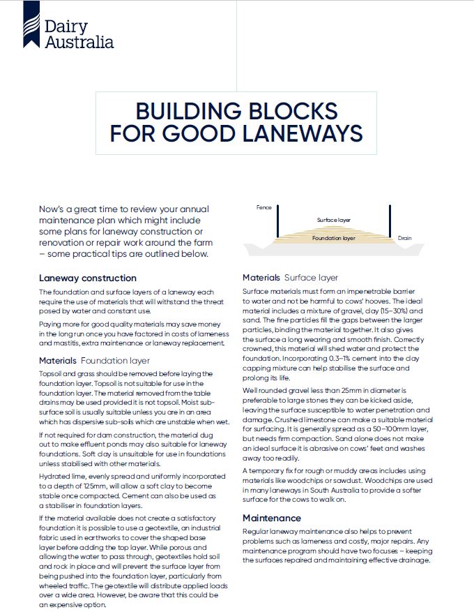 Building blocks for good laneways thumbnail