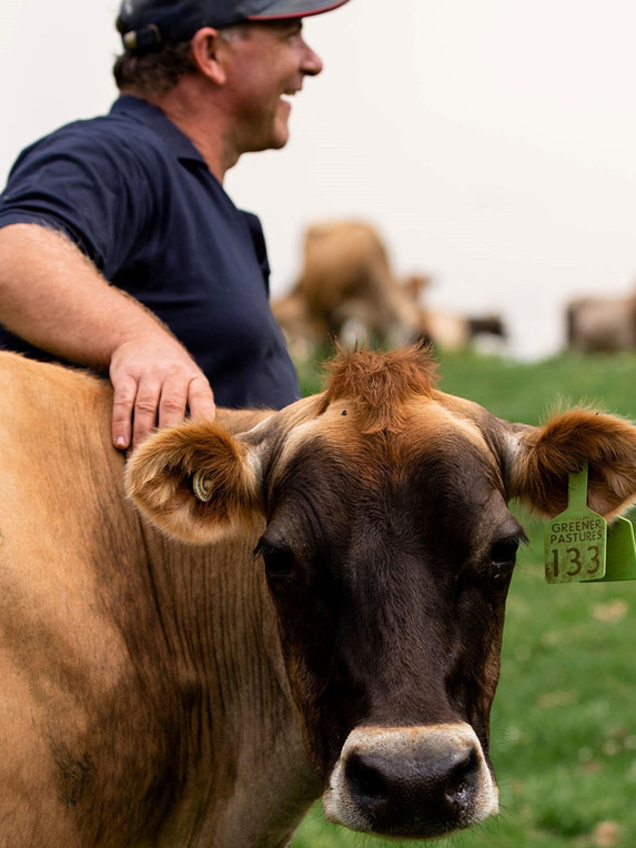 Dairy animal health Large promo 9