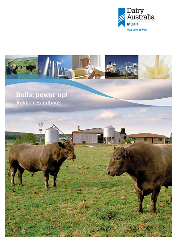Bulls Power Up Adviser handbook thumbnail