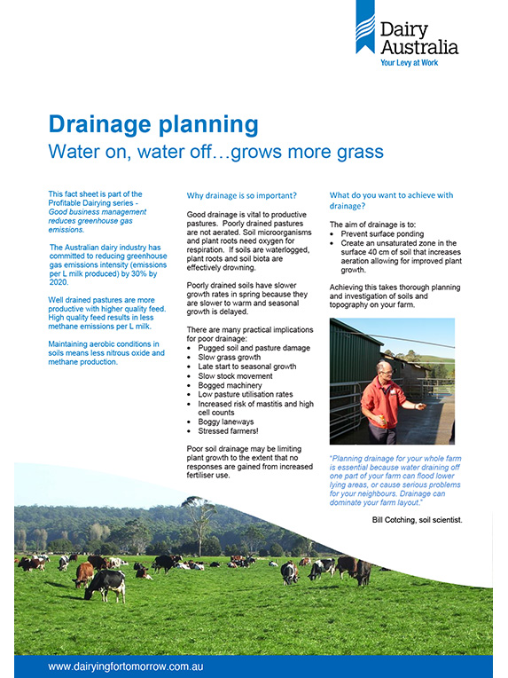 Drainage planning factsheet thumbnail