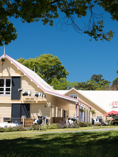 Bodalla Dairy.jpg