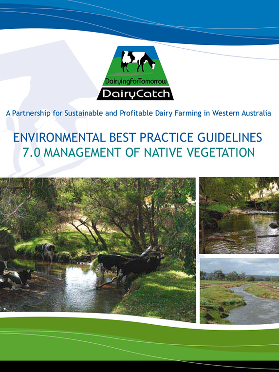 Environmental Best Practice Guidelines Management of Native Vegetation thumbnail