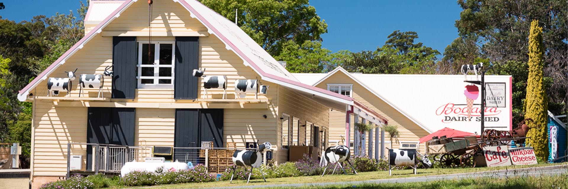 Bodalla Dairy-Banner.jpg
