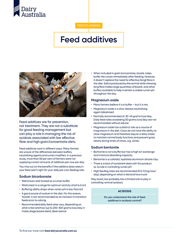 Feed planning feed additives factsheet thumbnail