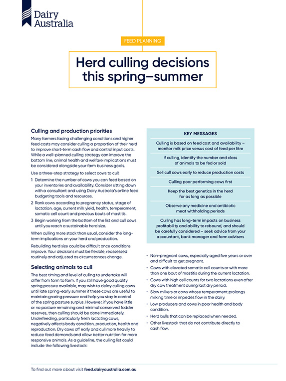 Herd culling decisions this spring summer thumbnail