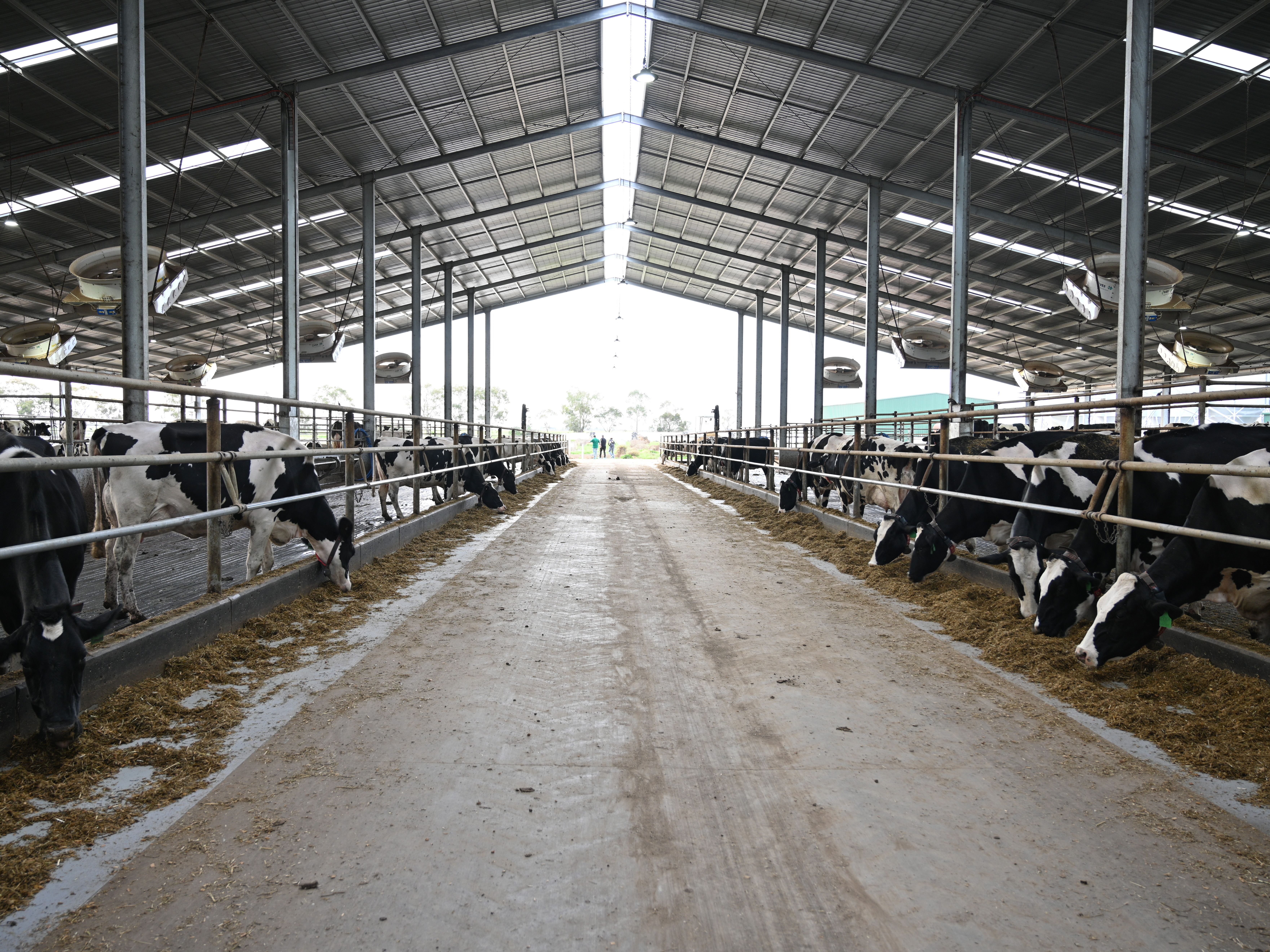 feeding systems