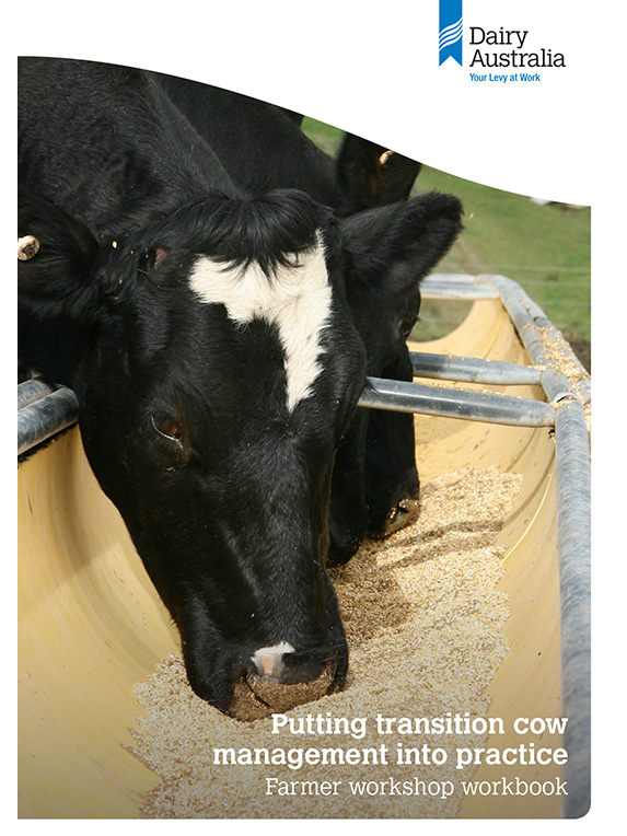Transition cow management farmer workbook thumbnail