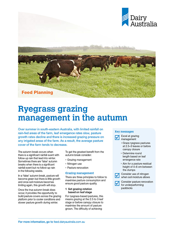 Ryegrass grazing management autumn factsheet thumbnail