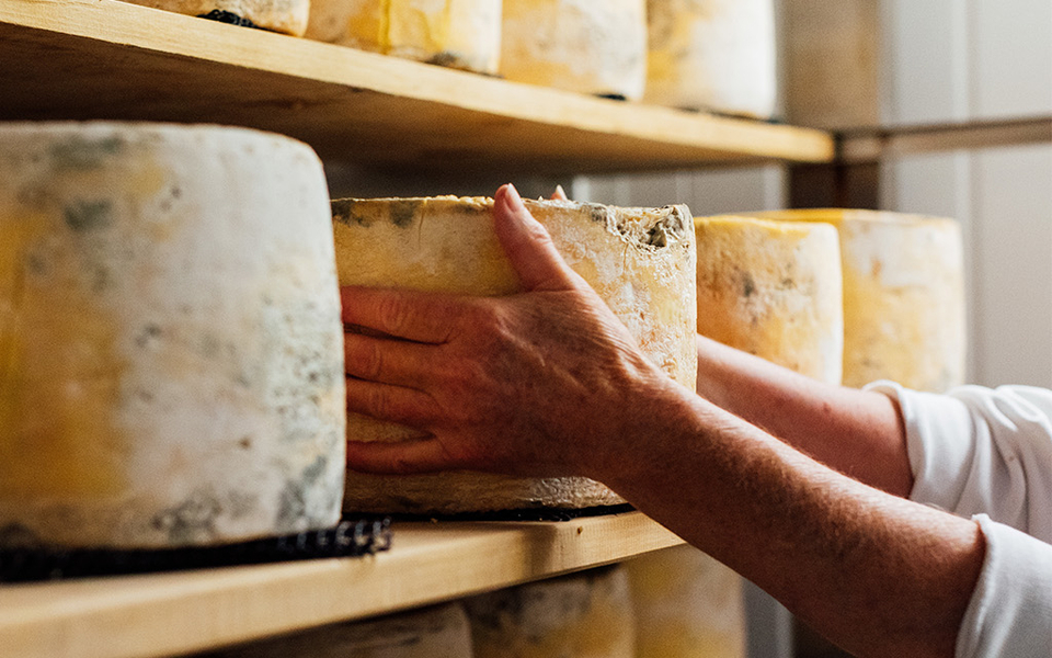 Cheesemaking header L4.jpg