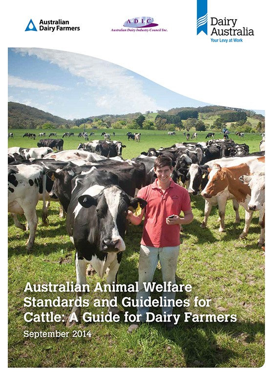 Australian animal welfare standards and guidelines a guide for dairy farmers thumbnail