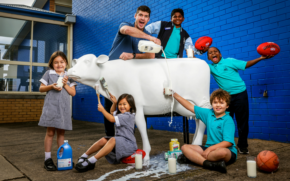 Picasso Cows EOI imagery.jpg