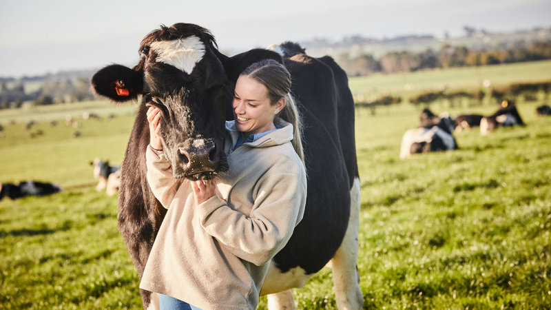 Megan with cow.jpg
