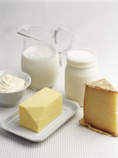 L2. Dairy Products Header.jpg