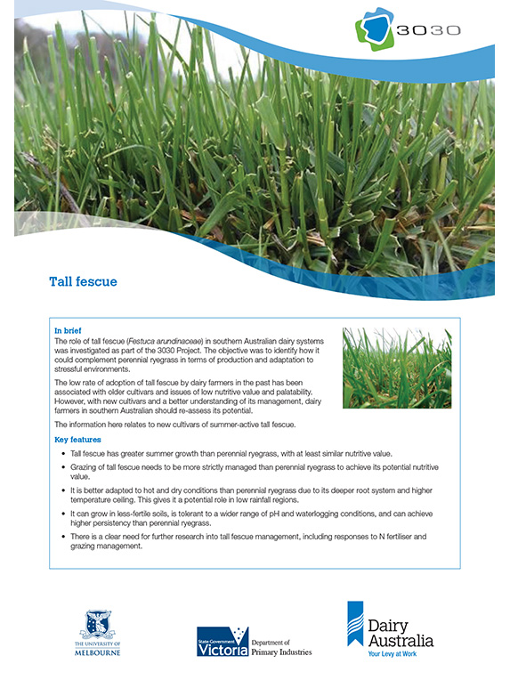 tall fescue factsheet thumbnail
