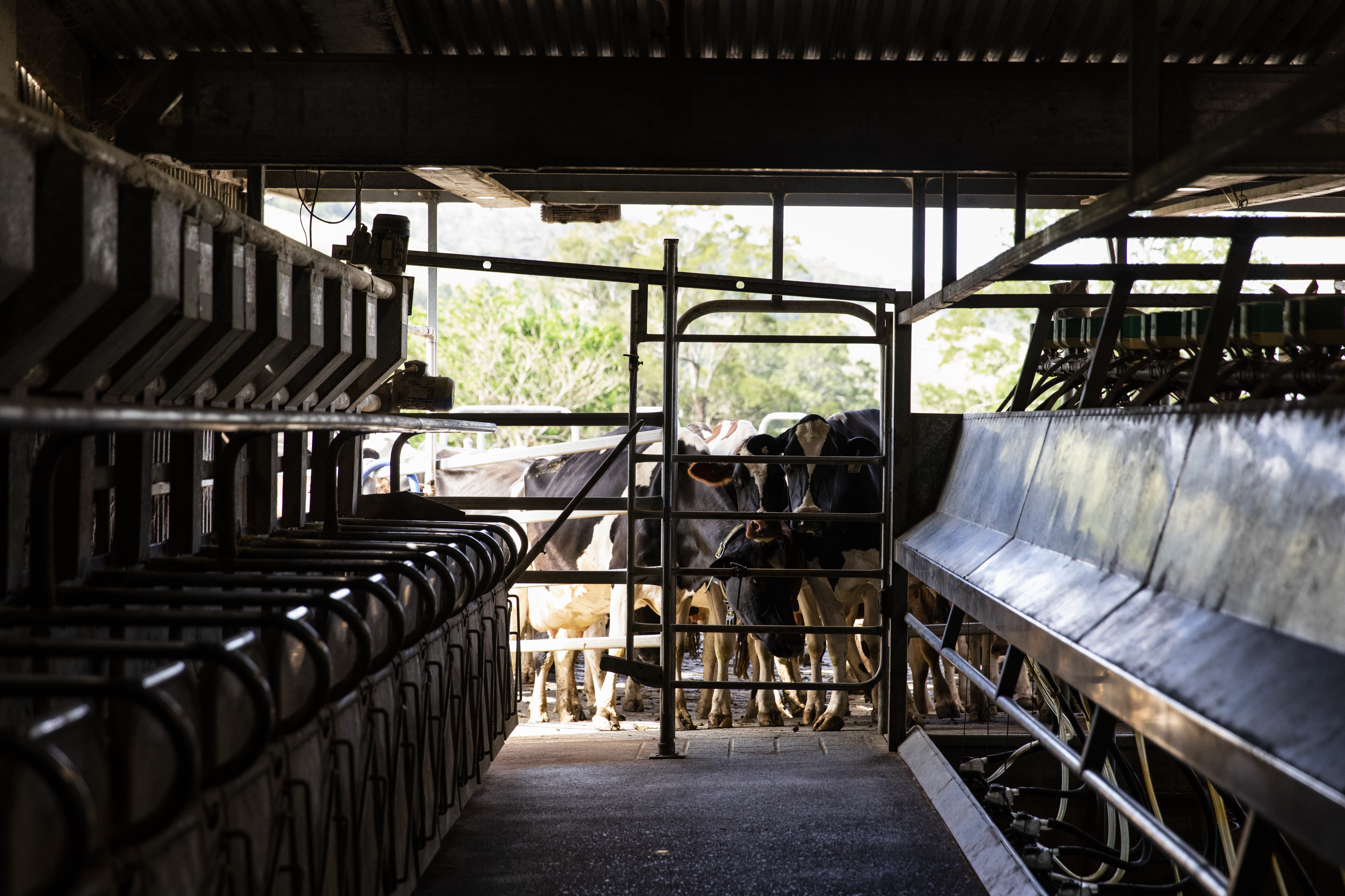Farm Safety Workshops
