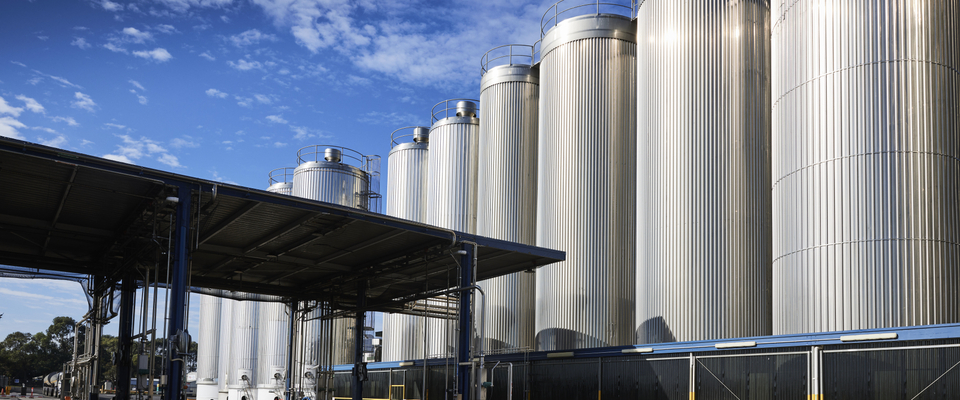 australian dairy companies