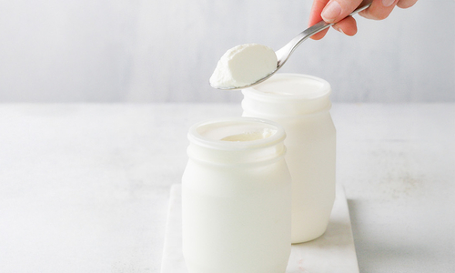 Yoghurt Header.jpg