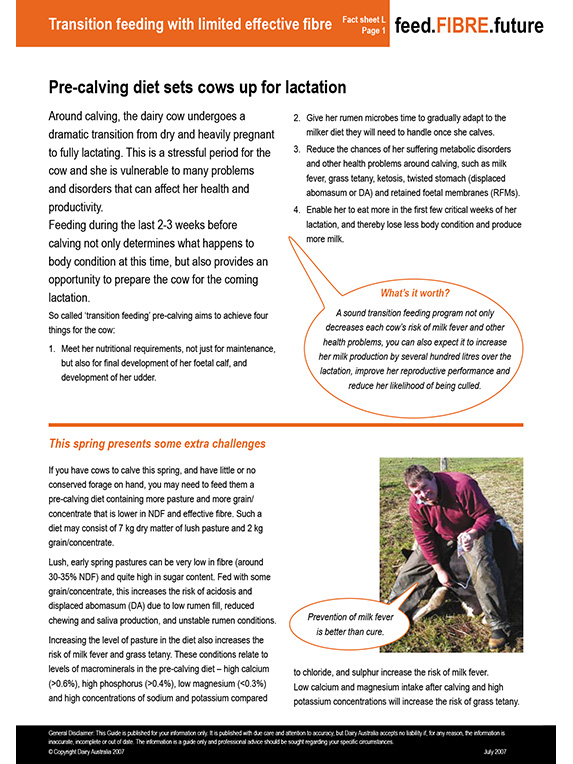 Transition feeding with limited effective fibre factsheet thumbnail