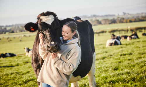 Megan with cow.jpg