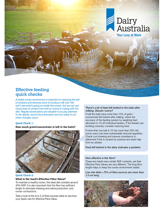 Effective feeding quick checks factsheet thumbnail
