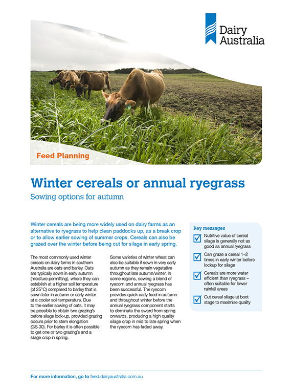 Winter Cereals Timeline thumbnail