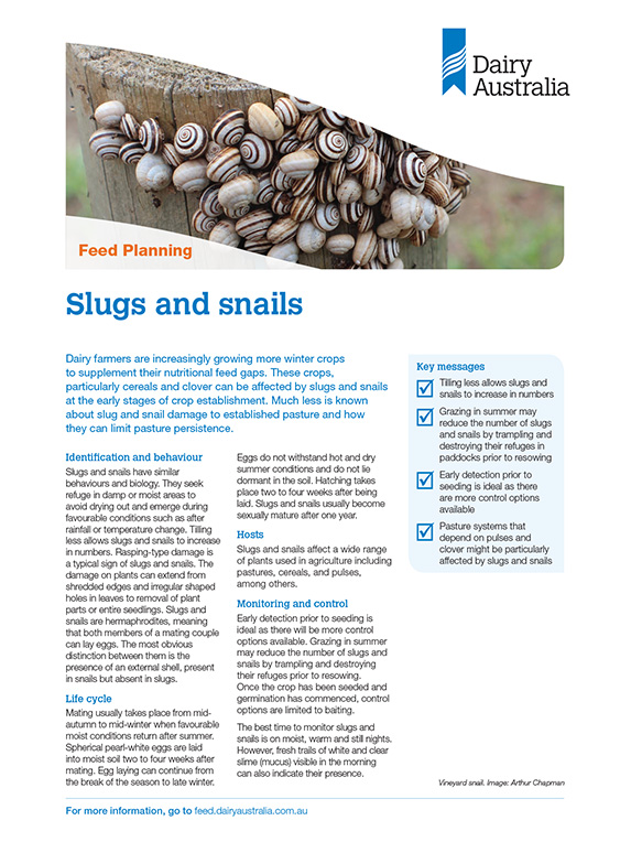 Slugs and snails factsheet thumbnail