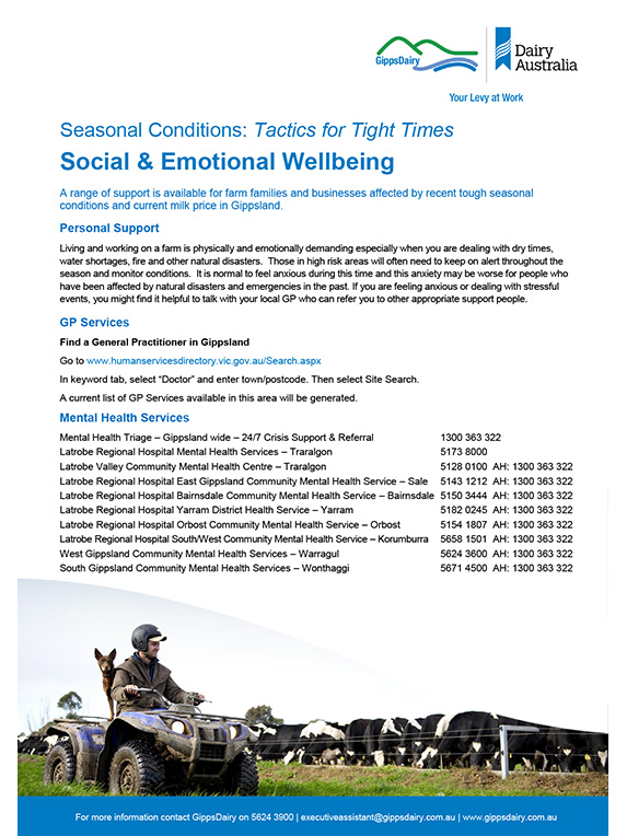 Social emotional wellbeing factsheet thumbnail