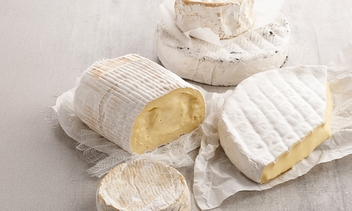 White mould cheese.jpg