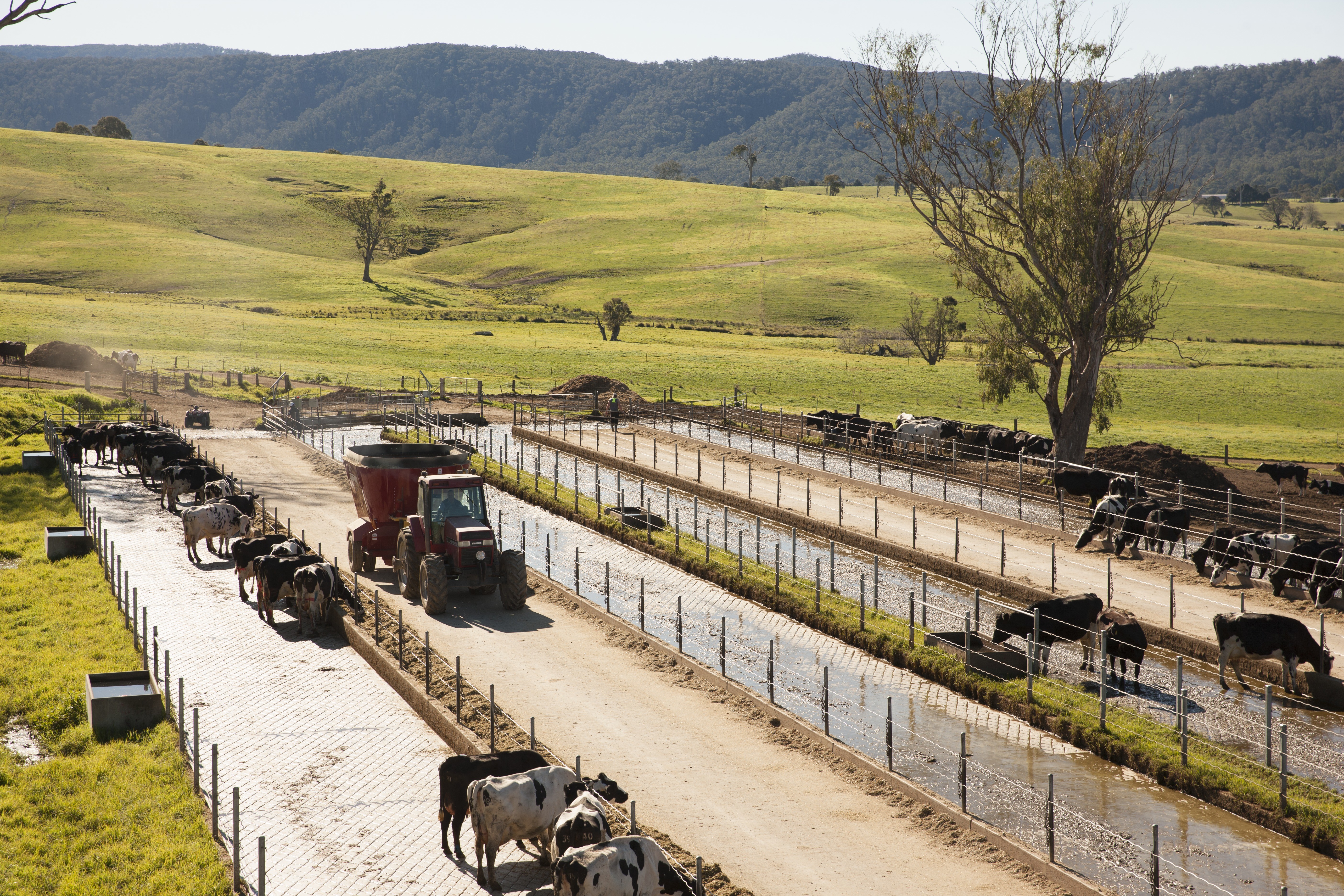 NSW Dairy Industry Roadshow