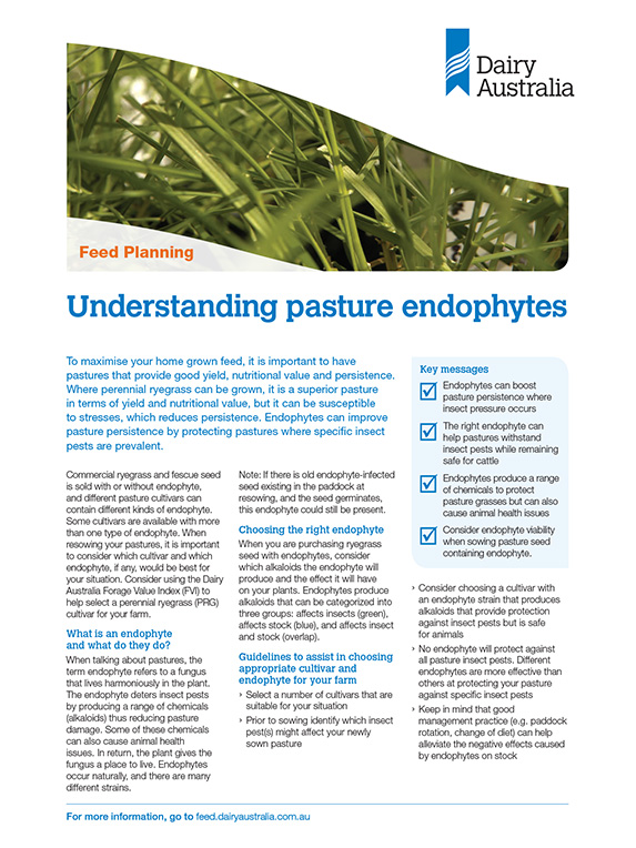 Understanding pasture endophytes factsheet thumbnail
