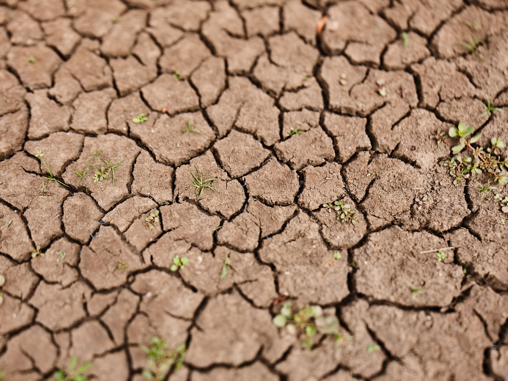 Dry Season News Promo Tile