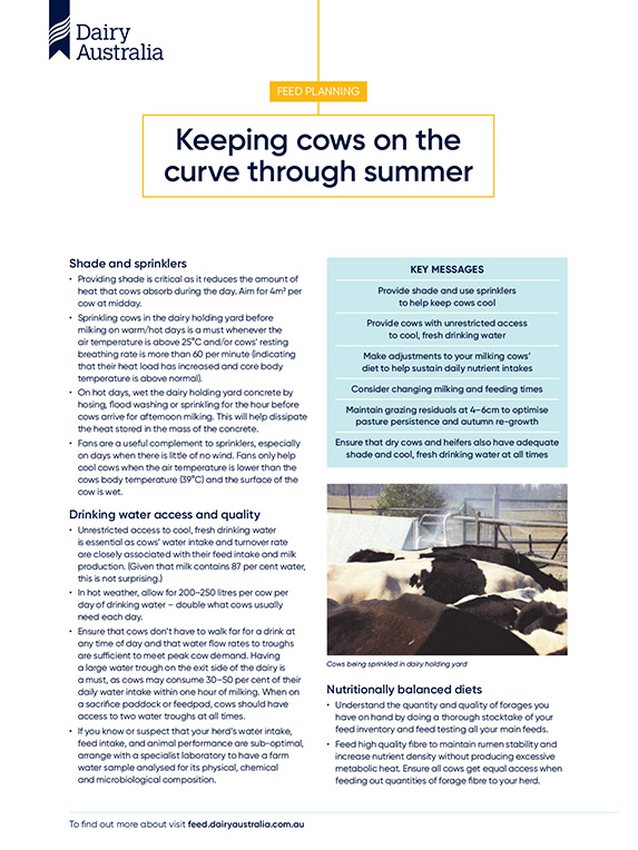 Keeping cows cool and on the curve during hot months factsheet thumbnail