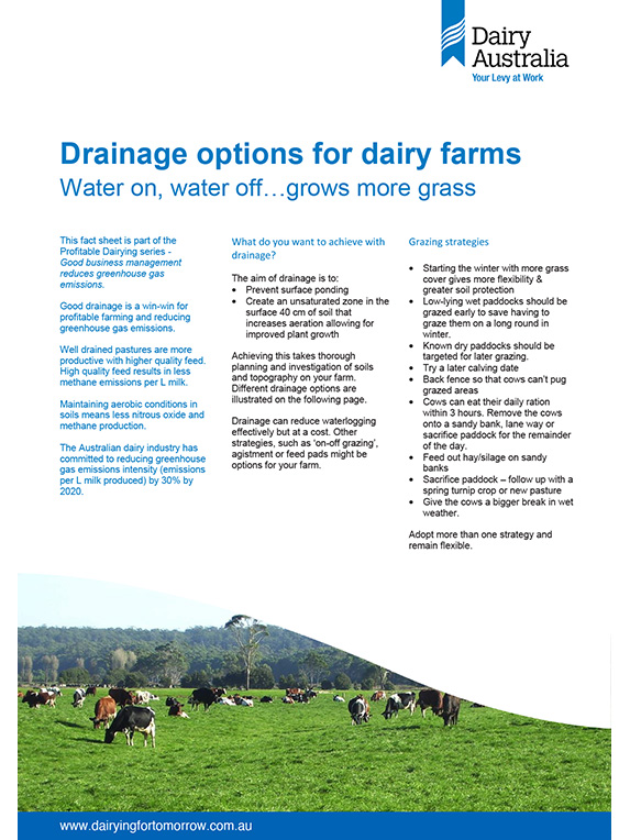 Drainage options for dairy farms factsheet thumbnail