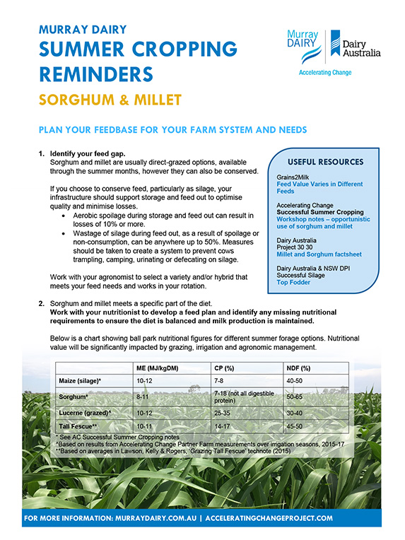 Sorghum millet summer cropping reminders thumbnail
