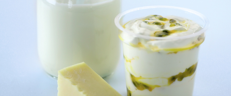 diabetes dairy products