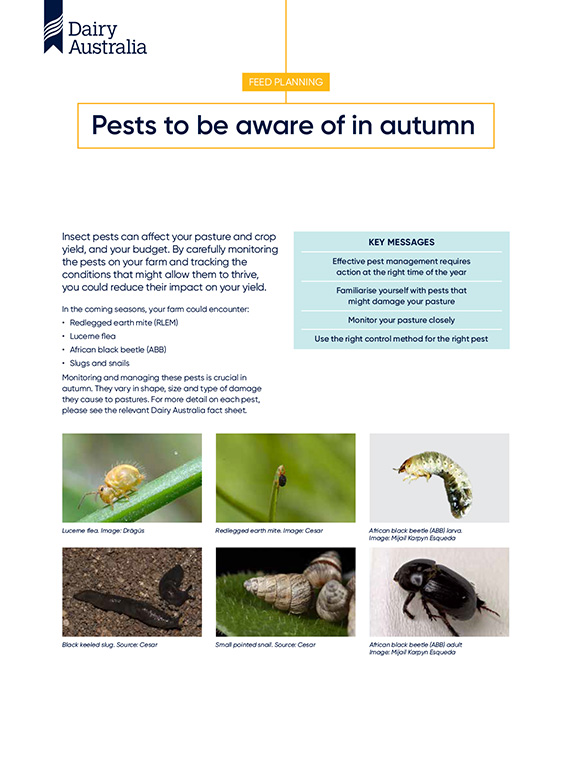 Pests to be aware of in autumn factsheet thumbnail