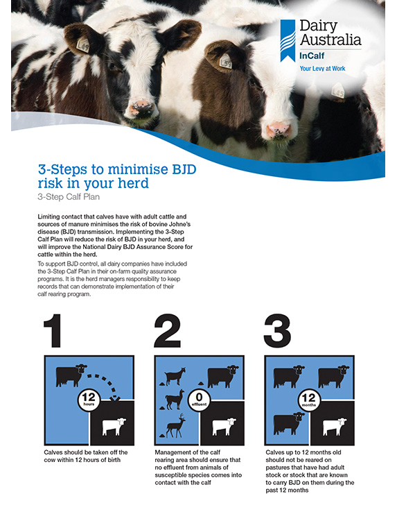 3 Steps to minimise BJD risk in your herd factsheet thumbnail