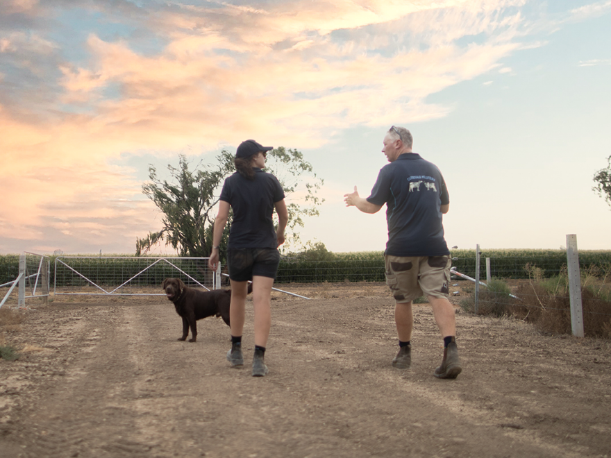 Farmers, team, walking, paddock, talking,