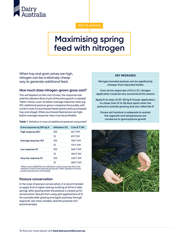 maximising spring feed with nitrogen factsheet thumbnail