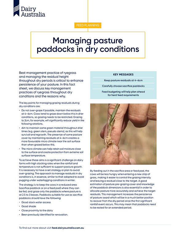 managing pasture paddocks in dry conditions thumbnail