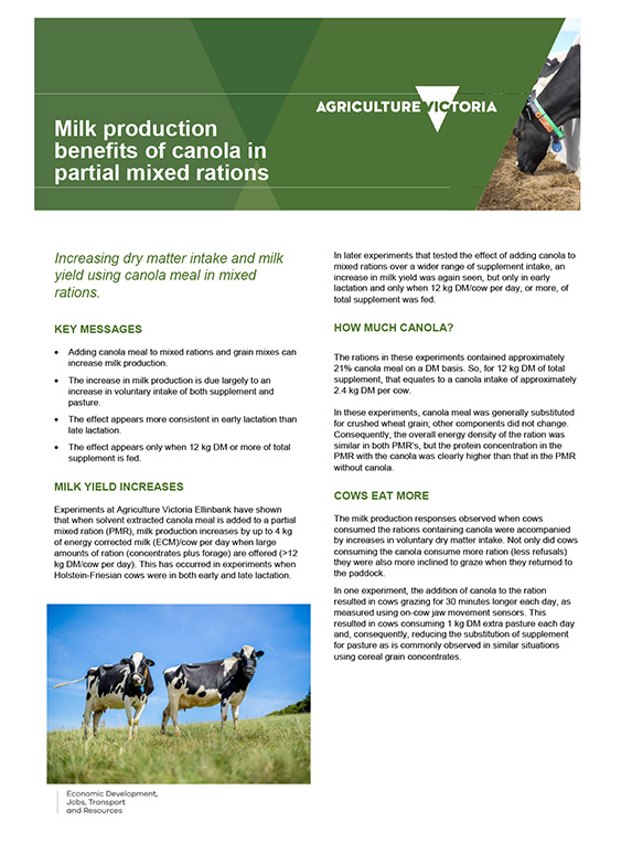 milk production benefits of canola in partial mixed rations thumbnail