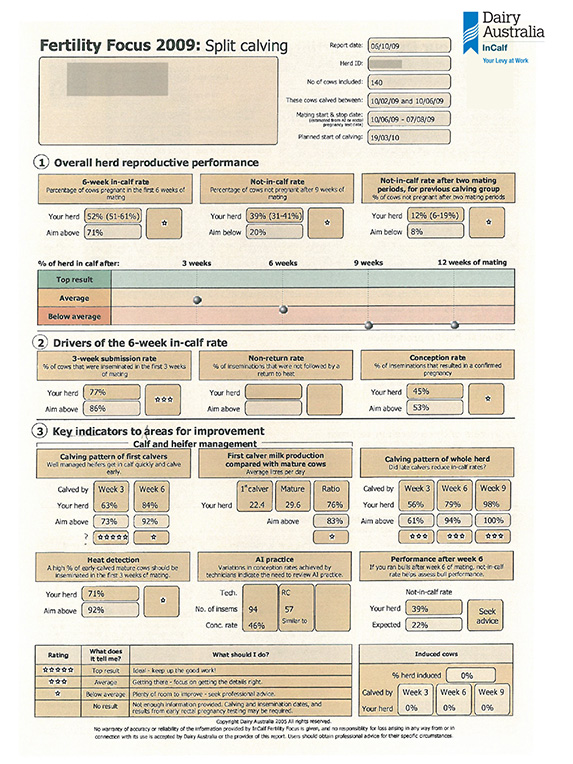Fertility Focus Report Split calving thumbnail