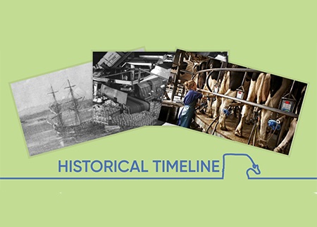 Historical timeline.jpg