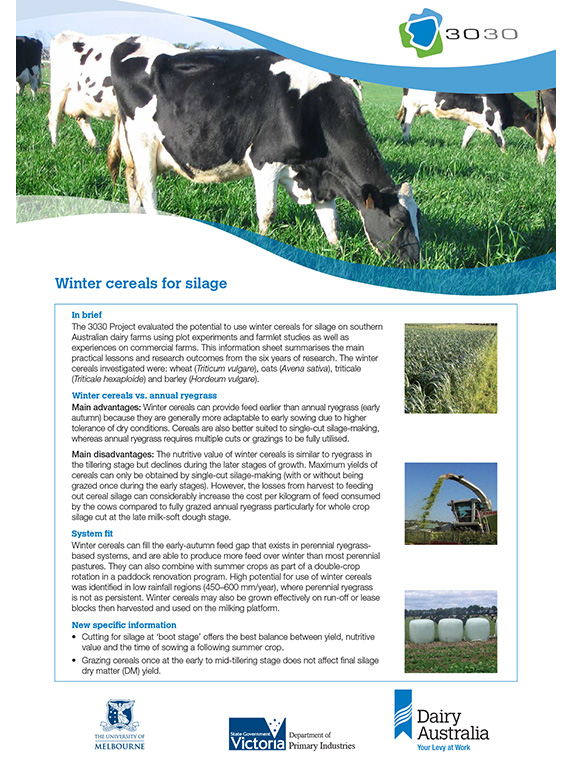 winter cereals for silage factsheet thumbnail