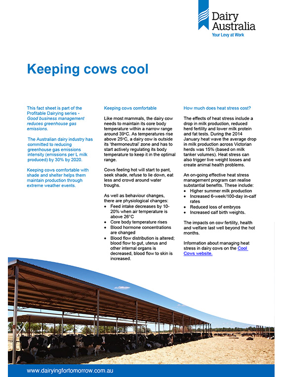 Keeping cows cool factsheet thumbnail
