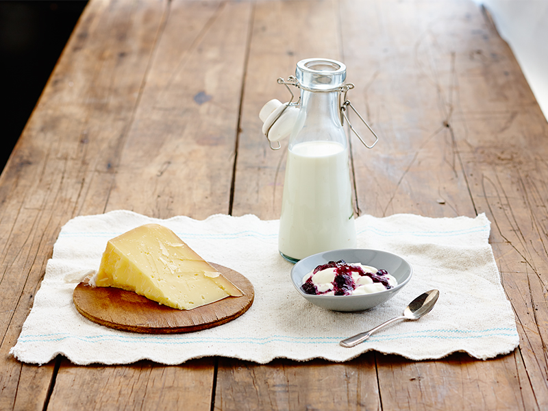 milkcheeseyogurt800x600